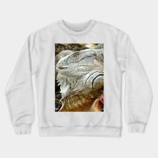 oli red iguana Crewneck Sweatshirt